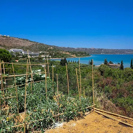 Villa Narciso